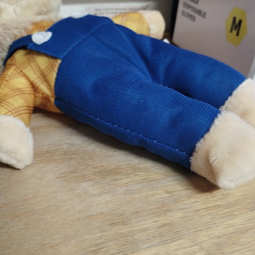 ÷PBS Kids The Berenstain Bears Teddy Bear 9in Stuffed Plush - New - Papa Bear - Picture 15 of 16